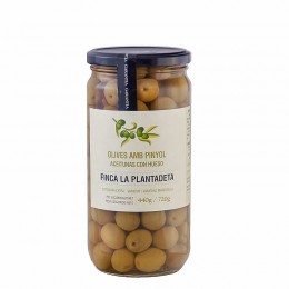 Aceitunas Manzanilla Plantadeta 500gr