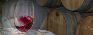 Visita a Celler Sabate