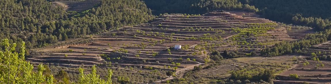 Finca Plantadeta